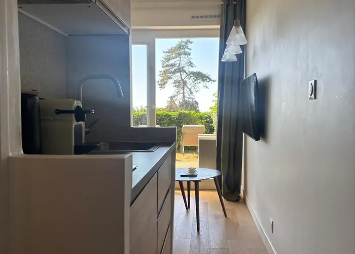 Jardin Avec Terrasse Vue * Trouville-sur-Mer